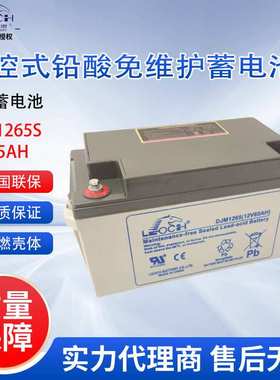 理士蓄电池DJM1265S 机房用UPS电池12V65AH 免维护直流屏机房专用