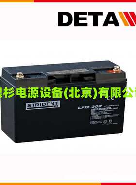 英国PRO-RIDER蓄电池6FM4.5  12V4.H机械臂应急储备电源