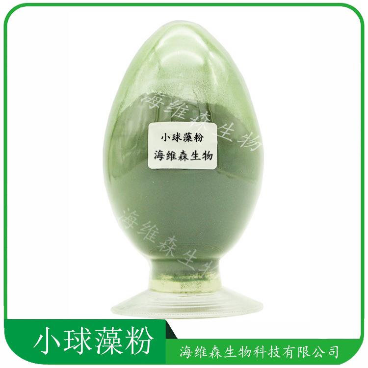 小球藻粉 食品应用破壁小球藻粉提取物 绿藻粉 蛋白核小球藻粉