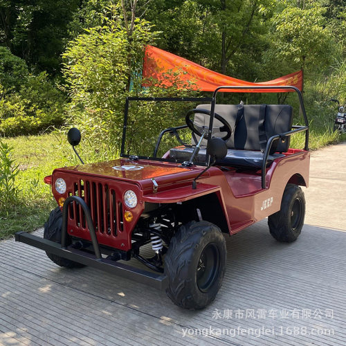 新款全地形成人电动utv农夫沙滩车越野双人休闲景区卡丁车摩托车