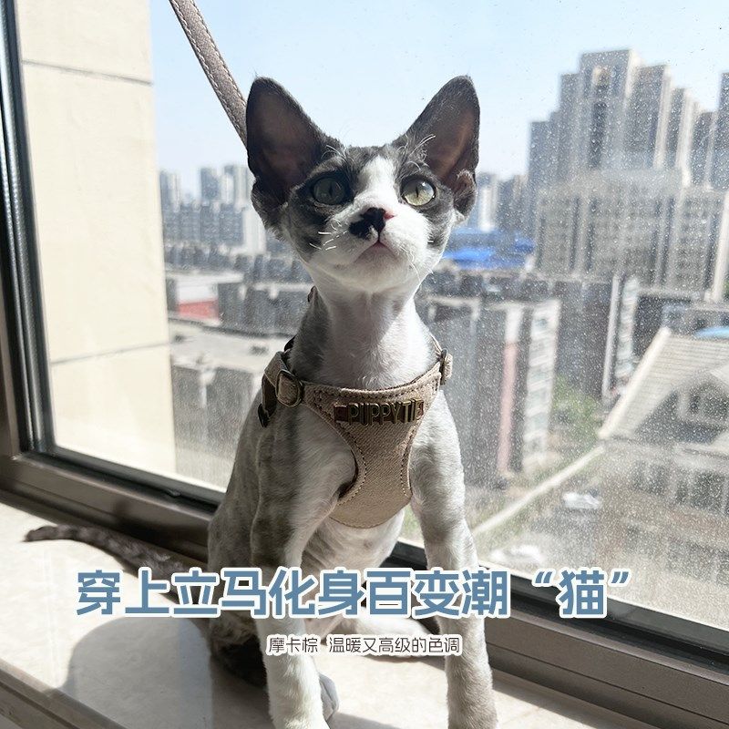 puppytie猫咪牵引绳防挣脱外出背心式小猫德文猫猫胸背可爱遛猫绳,宠物/宠物食品及用品,猫牵引绳,淘宝优惠券,粉丝福利购,淘宝优惠卷