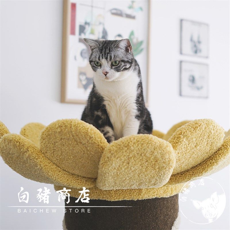 白猪商店 猫的树猫爬架太阳花猫树猫抓板猫窝猫爬架一体