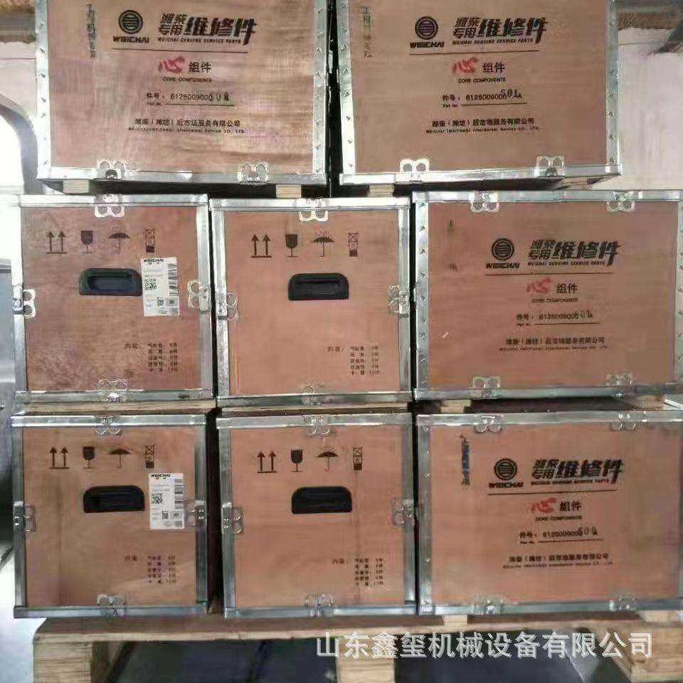 潍柴WP10H芯组件发动机总成四配套缸套活塞612600900072图片