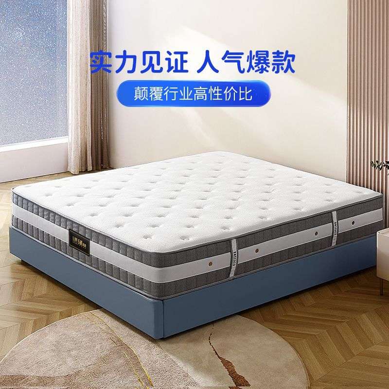弹簧乳胶床垫护脊软硬两用1.8m席梦思代棕垫1.5m硬垫子d026