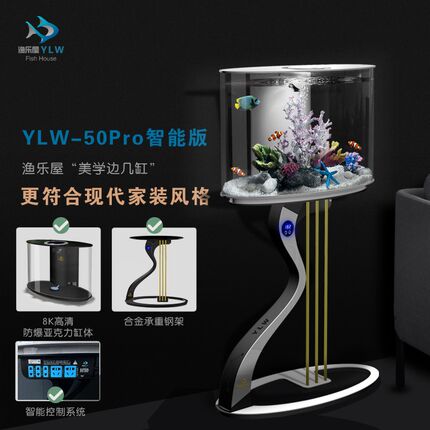 鱼厅电缸小型2024新款客视柜旁落地生态鱼缸免换水边几缸创意造景