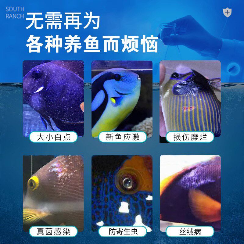 大国海化白白水治疗海水鱼美小白点鱼药烂肉水海缸检疫铜药点点净