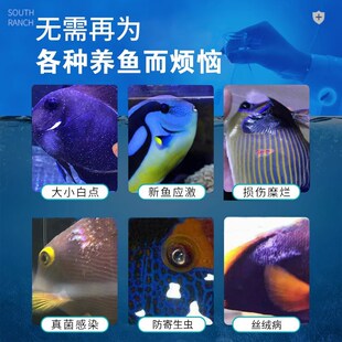 大国海化白白水治疗海水鱼美小白点鱼药烂肉水海缸检疫铜药点点净