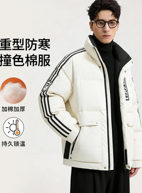 冬新款立领棉服字母印花设计感休闲短外套男女情侣百搭面包服棉衣