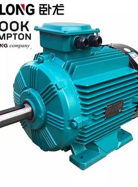 卧龙电气IE2/IE3/WE3/WE4/WE5/YE4系列三相异步电机厂家电动机