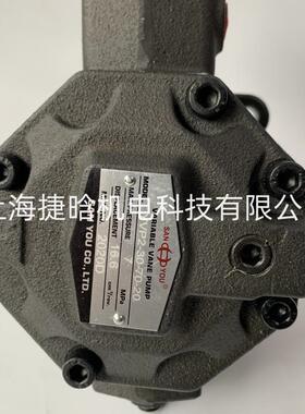 SAN YOU 叶片泵YVP2-30-70-20 YVP2-30-70-10 SANYOU油泵