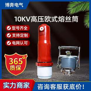 10KV高压开关充气柜欧式熔丝筒630A箱变配件成套熔断器侧扩母联器