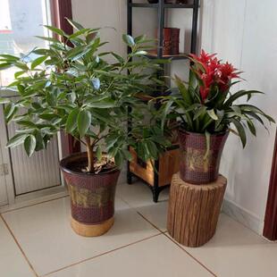 原木墩风化老榆木墩子花架茶台底座根雕凳子树桩木桩实木墩子矮凳