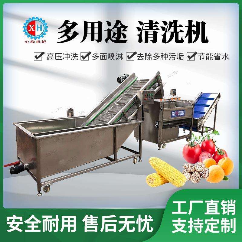 水果蔬菜清洗加工成套设备 秋葵茄子气泡清洗机 商用蘑菇清洗设备