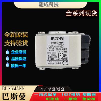 巴斯曼170M5463 170M5464 170M5465 经销出厂价格 快速保险丝