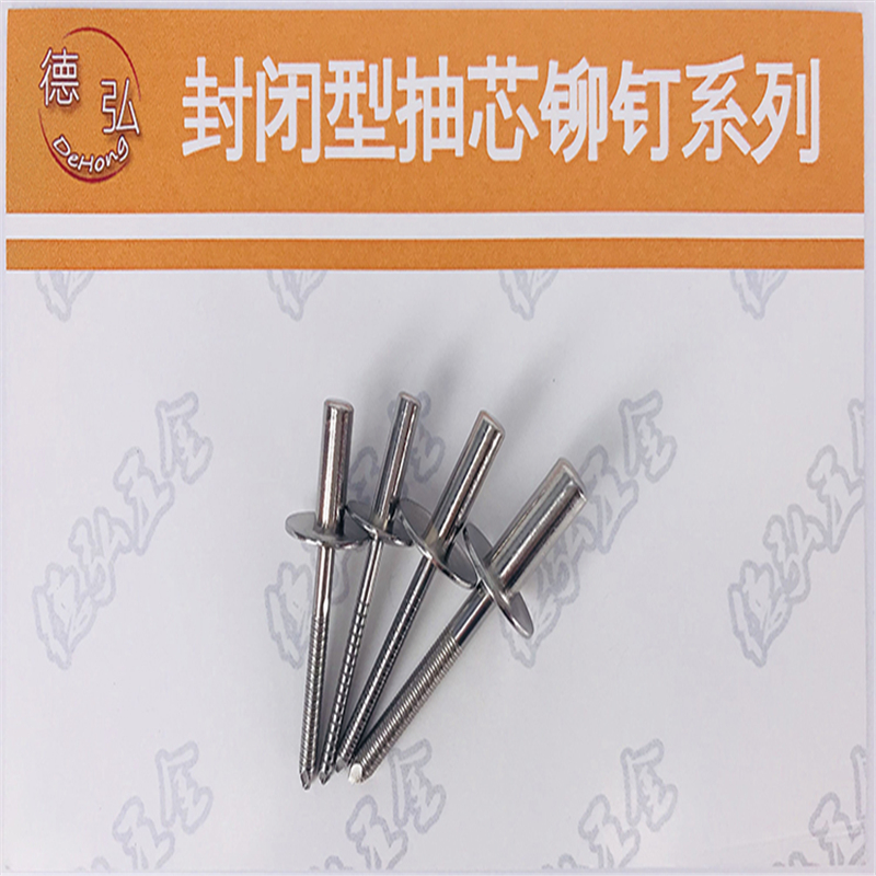 欧洲品质 全不锈钢封闭大帽檐抽芯铆钉 德弘1 直径4.0/4.8/6.4