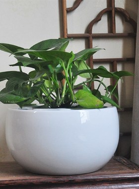 客厅家用小型陶瓷聚宝盆金鱼缸桌面摆件纯白阳台小院装饰水族箱