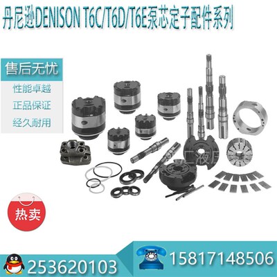 DENISON丹尼逊叶片泵T6C T6D T6E T7B C D E油泵 泵芯配件