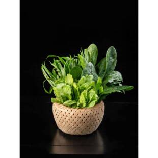 火锅蔬菜桶竹编篮子创意火锅店素菜金针菇菌类专用配菜盘精编竹篮