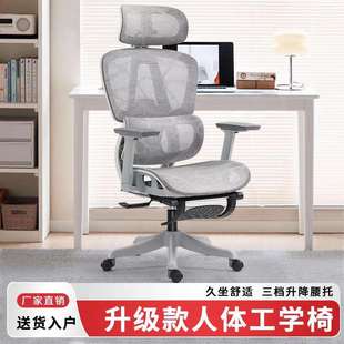 优兰森人体工学椅久坐舒适办公椅子靠背椅家用电脑椅书房电竞座椅