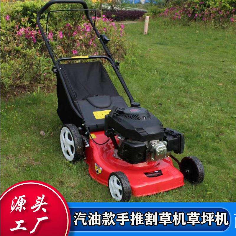 物业小区苗圃手推式割草机 大马力自行走汽油除草机 经济型草坪机