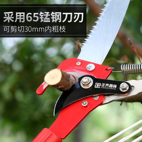 修枝剪高枝剪伸缩高空锯剪刀剪枝神器园艺树枝果树修剪专用不锈钢