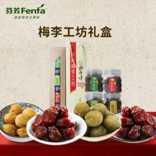 芬芳梅李工坊礼盒年货零食蜜饯果脯大礼包广西特产皇家梅情人梅