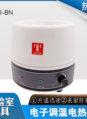 天津泰斯特250ml500电加热套实验室98-I-B电子调温电热套大小齐全