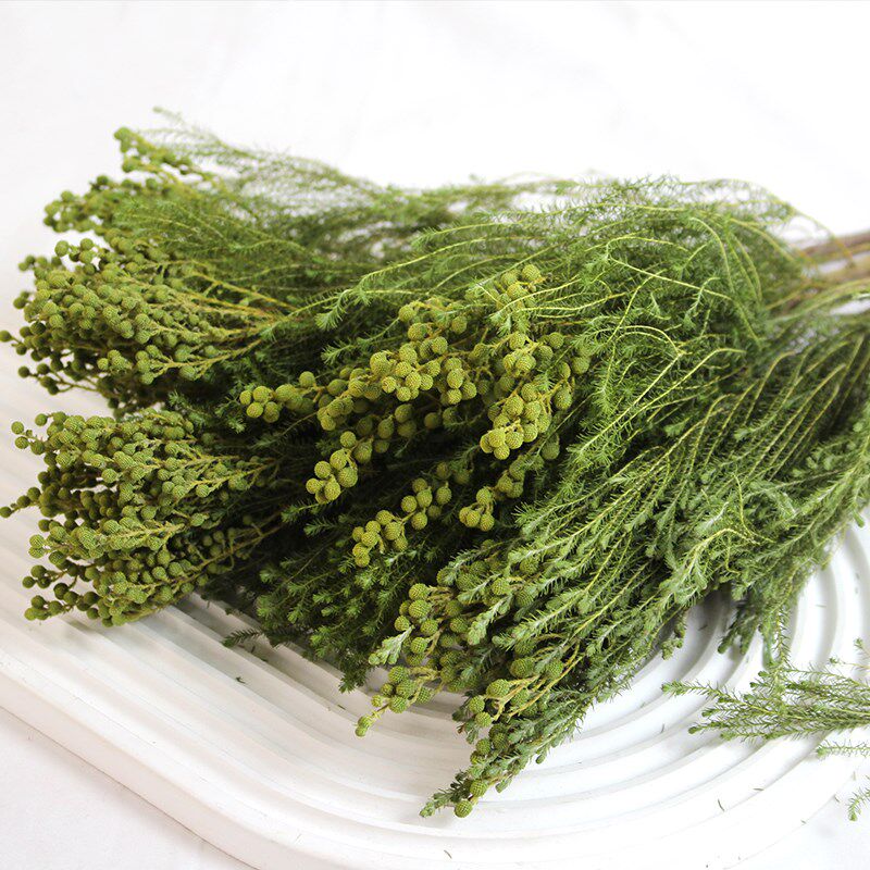 珊瑚干枝真花干花进口花束装饰摆设插花配花干果枝条
