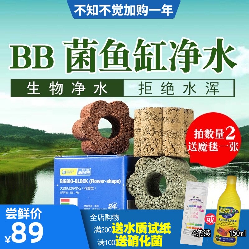 BB菌净水石鱼缸微生物过滤材料分解鱼便水族净化滤材硝化菌免换水