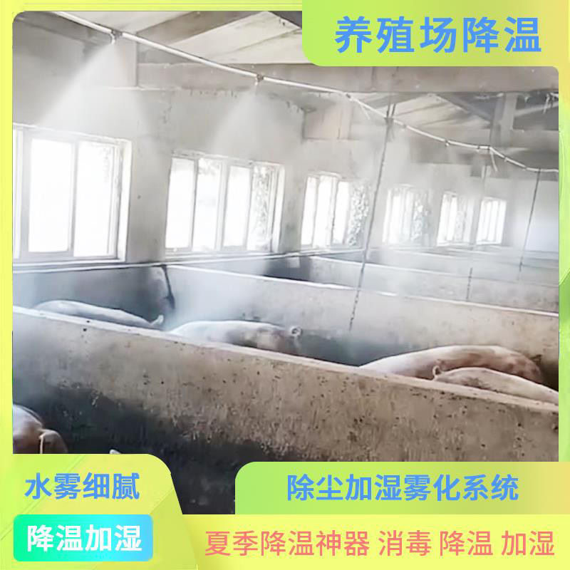 水泵降温降尘自动喷淋设备加湿除尘雾化喷头喷雾头系统定时浇花器