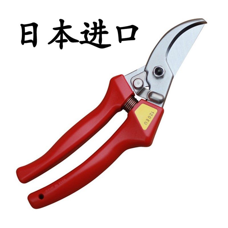 日本原装进口修枝剪果树粗枝剪爱丽斯ARS 120EU园林园艺工具剪刀