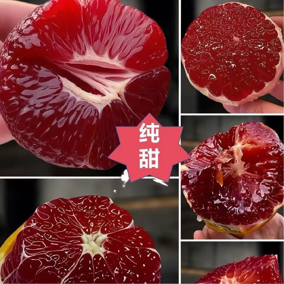 【下单立减50】正宗红皮血橙果树苗嫁接冰糖血橙橙子盆栽地栽ZP