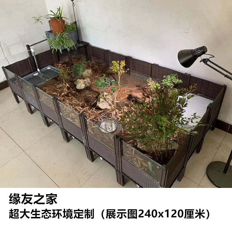 黄缘闭壳龟养殖箱 半水龟箱龟安缘台缘龟生态饲养环境