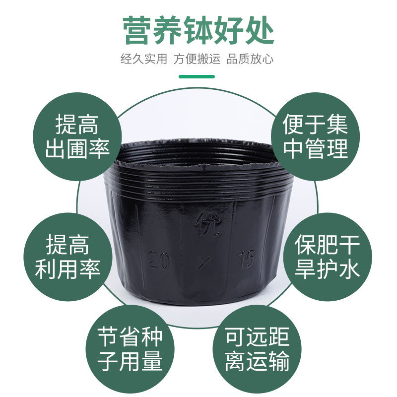 塑养钵育苗盆加厚营养杯育性杯营料育苗袋一次苗营养袋黑色花盆