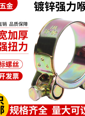 欧式强力卡箍抱箍水管固定卡子加厚管箍铁镀锌喉箍油管管卡管夹