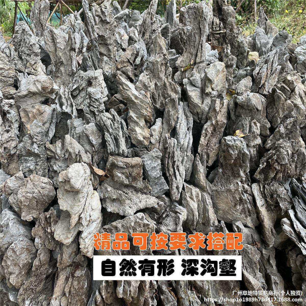 品天然青龙石造景石酸洗鱼缸假山原石草缸附石盆景园林景观英德