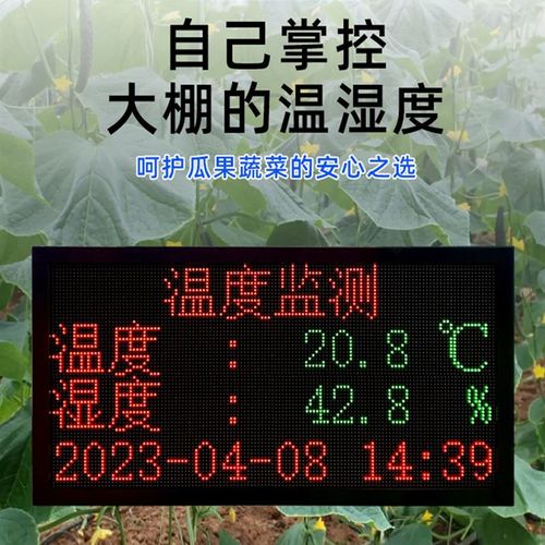 大棚温度计高精度工业显示屏温湿度警报器大屏显示仪仓库厂房养殖