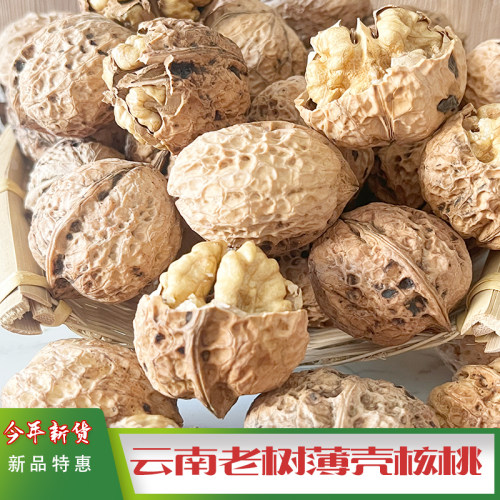2026新货云南老树薄壳纸皮核桃
