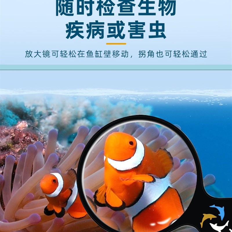 放大镜鱼缸海缸珊瑚水察镜大号微海距观鱼观赏珊瑚观察镜虫子