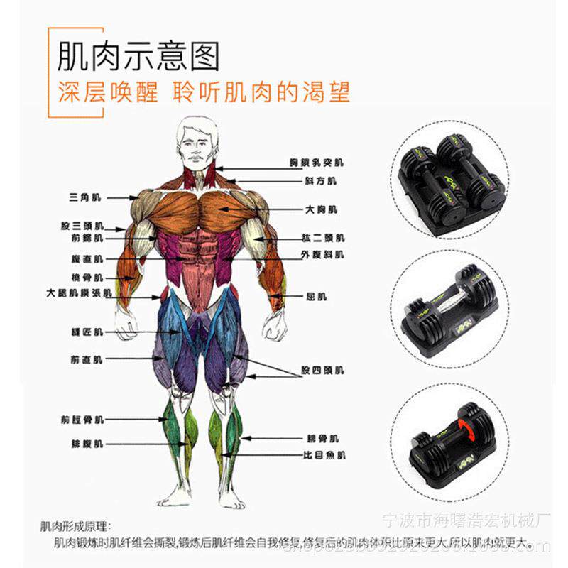 厂家直供快速自动调节哑铃可调节哑铃24kg52.5磅男士健身调节哑铃