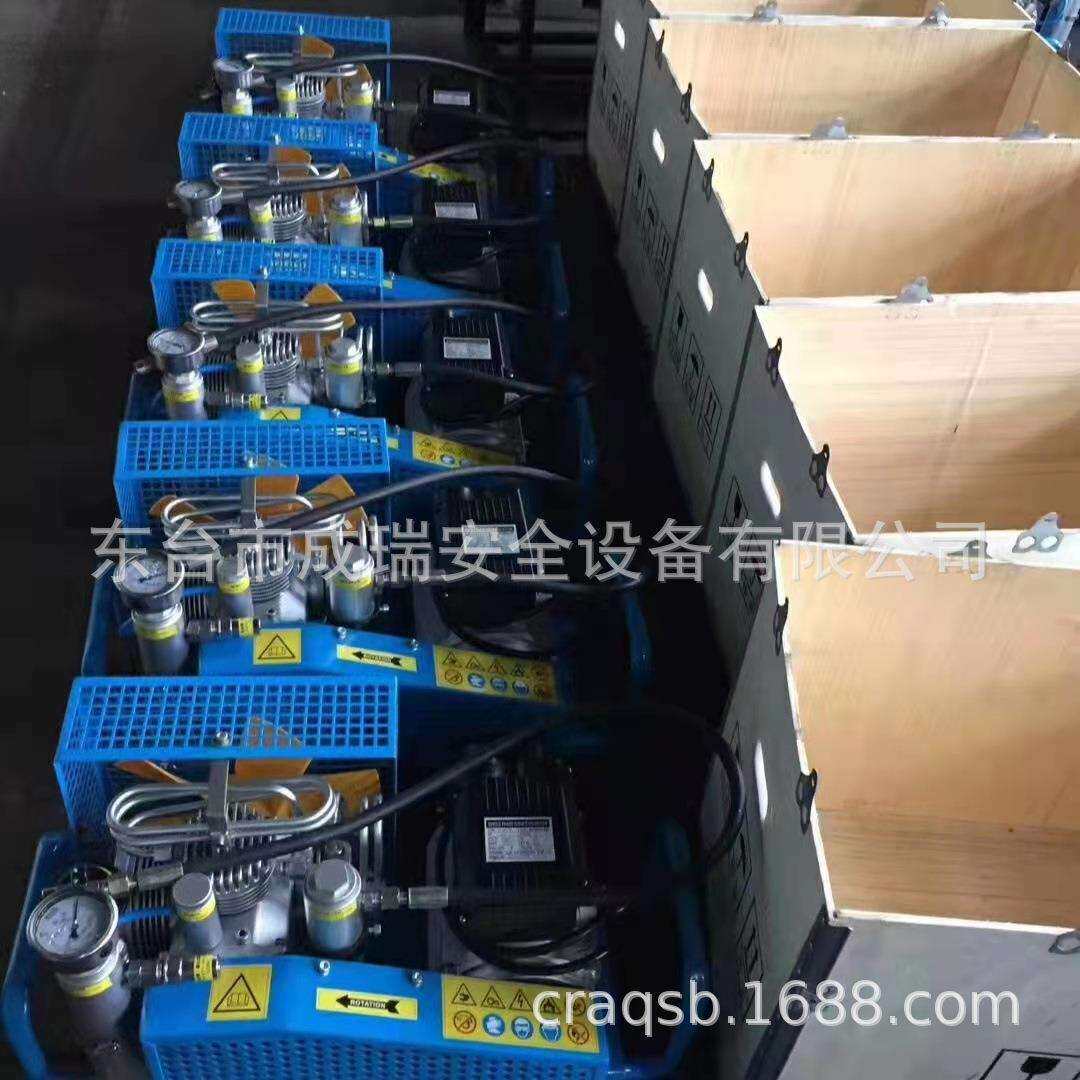 厂家供应空气呼吸器气瓶充气泵 潜水气瓶充气机30MPA高压气泵