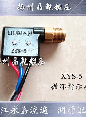 浙江流遍XYS-5分油器检知XYS-20循环指示器LXW10检测开关XYS-10
