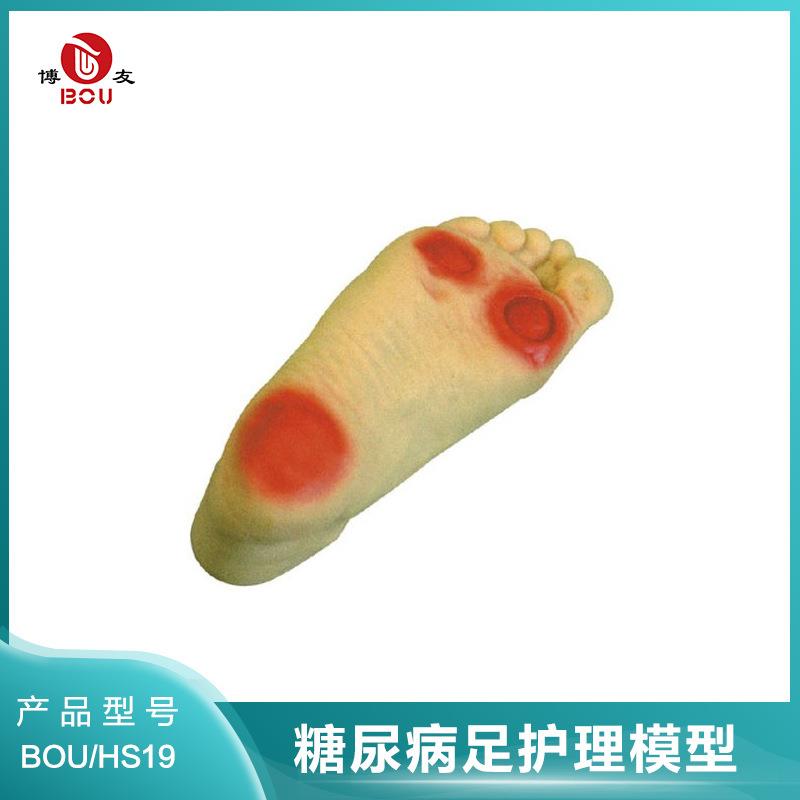 tnb足护理模型工具pvc模具老年人脚部训练设备hs19
