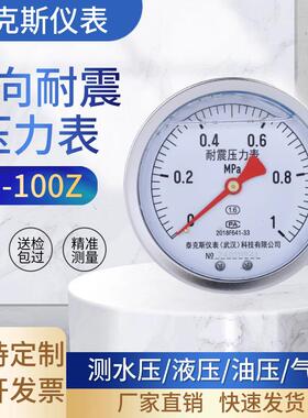 泰克斯 YN100Z耐震轴向卧式储气罐压力表气压表液压表智能负压表