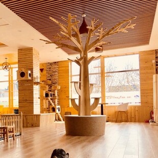 猫爬架猫窝猫树一体超大猫抓架剑麻猫抓板大型抓柱别墅猫用品玩具