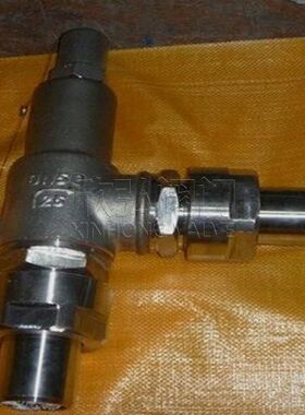 A61H弹簧微启式安全阀 抗硫 液化气 耐腐蚀 法兰 欣弘阀门