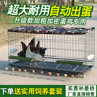 鸡笼子家用养殖笼铁丝鸡舍家庭养鸡笼特大号自动滚蛋清粪鸡笼兔笼
