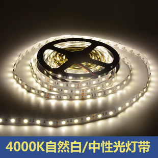 led灯带12V贴片中性光4000K自然白柜台广告灯箱防水5050灯条