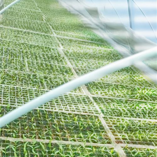 20支装农用拱棚支架温室玻璃纤维杆,玻纤棒,小拱棚杆