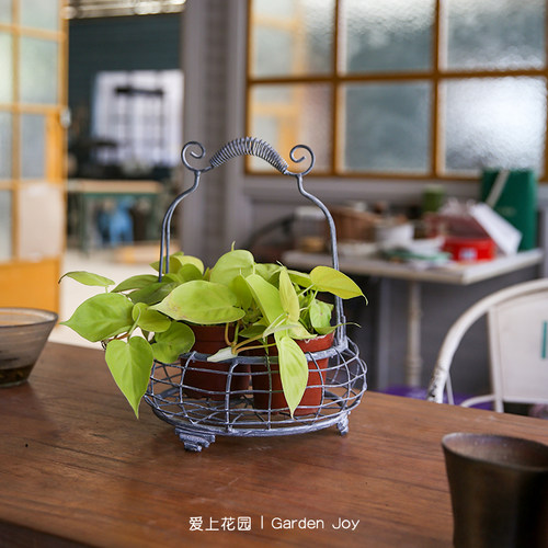 爱上花园丨园艺杂货 花园庭院装饰铁艺 编织做旧铅色带把铁丝圆篮